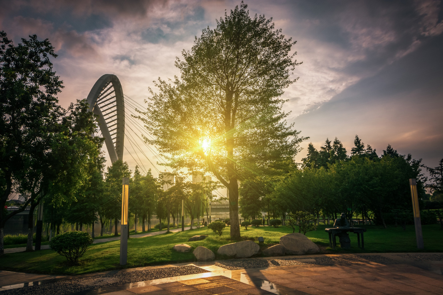 Landscaping & Garden Care