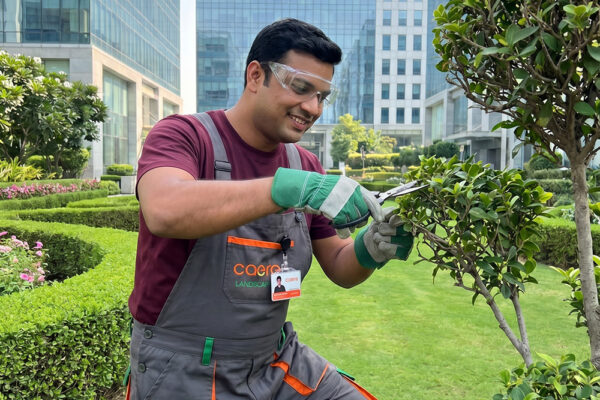 Horticulture & Landscaping