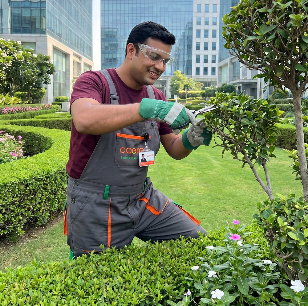 Horticulture & Landscaping